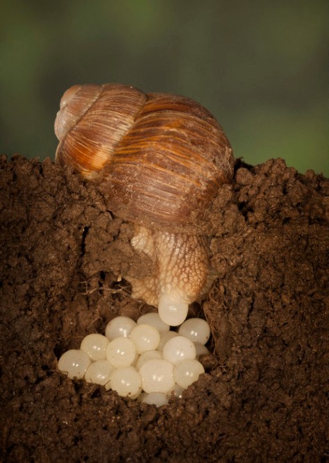 BIOS-2100998 - copie