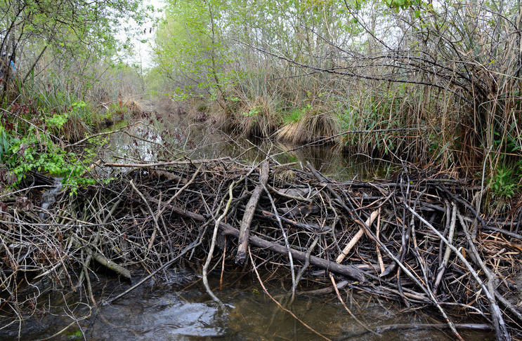 Habitat BIOS-2172167 copie