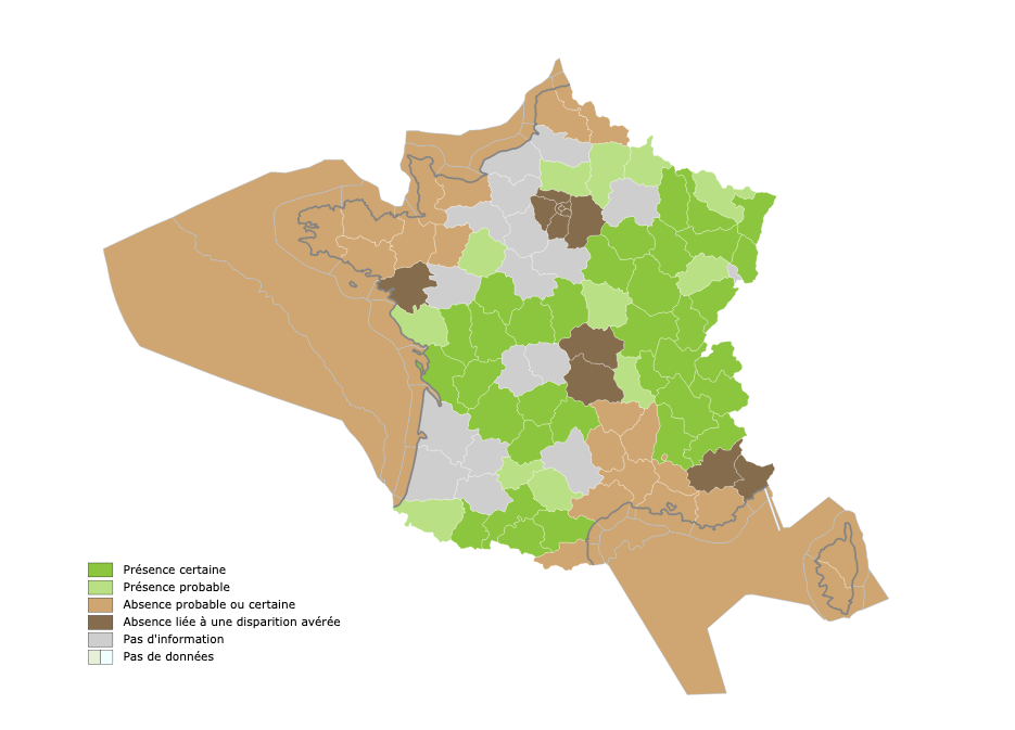 Capture d’écran 2022-05-20 à 12.21.23