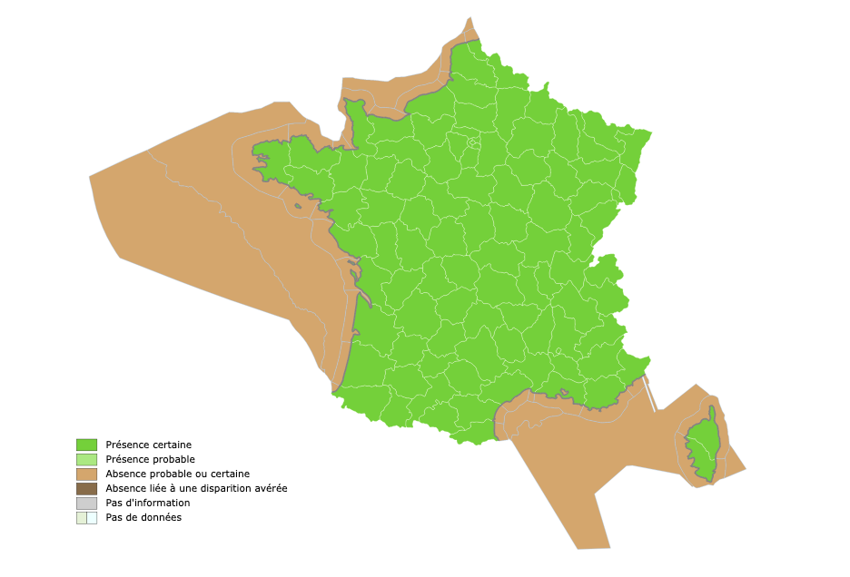Capture d’écran 2022-12-30 à 12.43.51