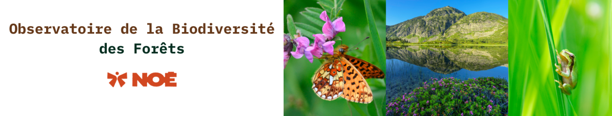 Observatoire de la Biodiversité des Forêts